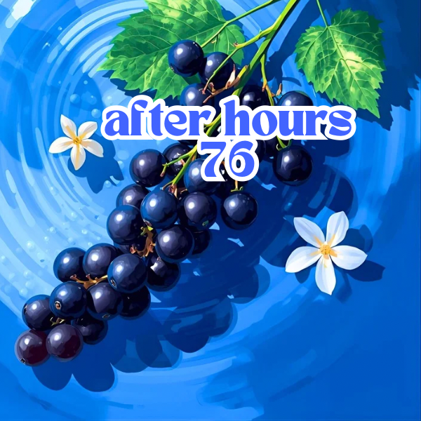 Liquid Silk Body Oil - 4 oz